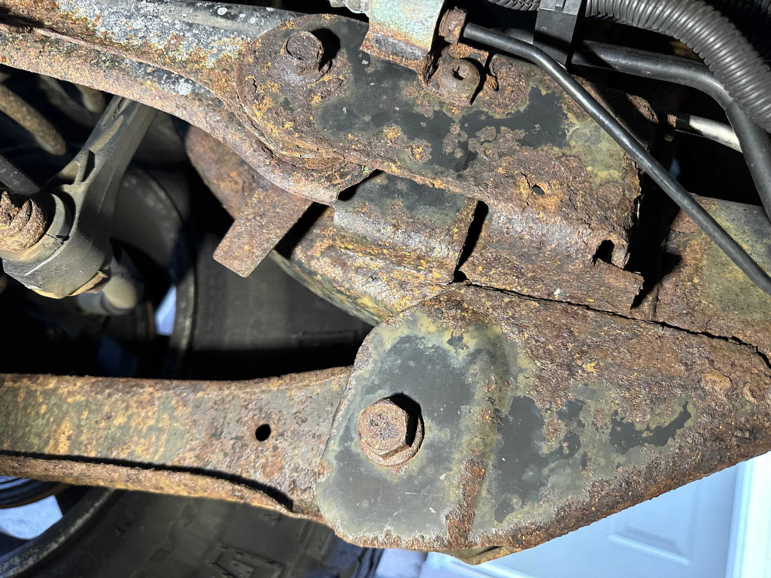 IMG_8333.jpeg