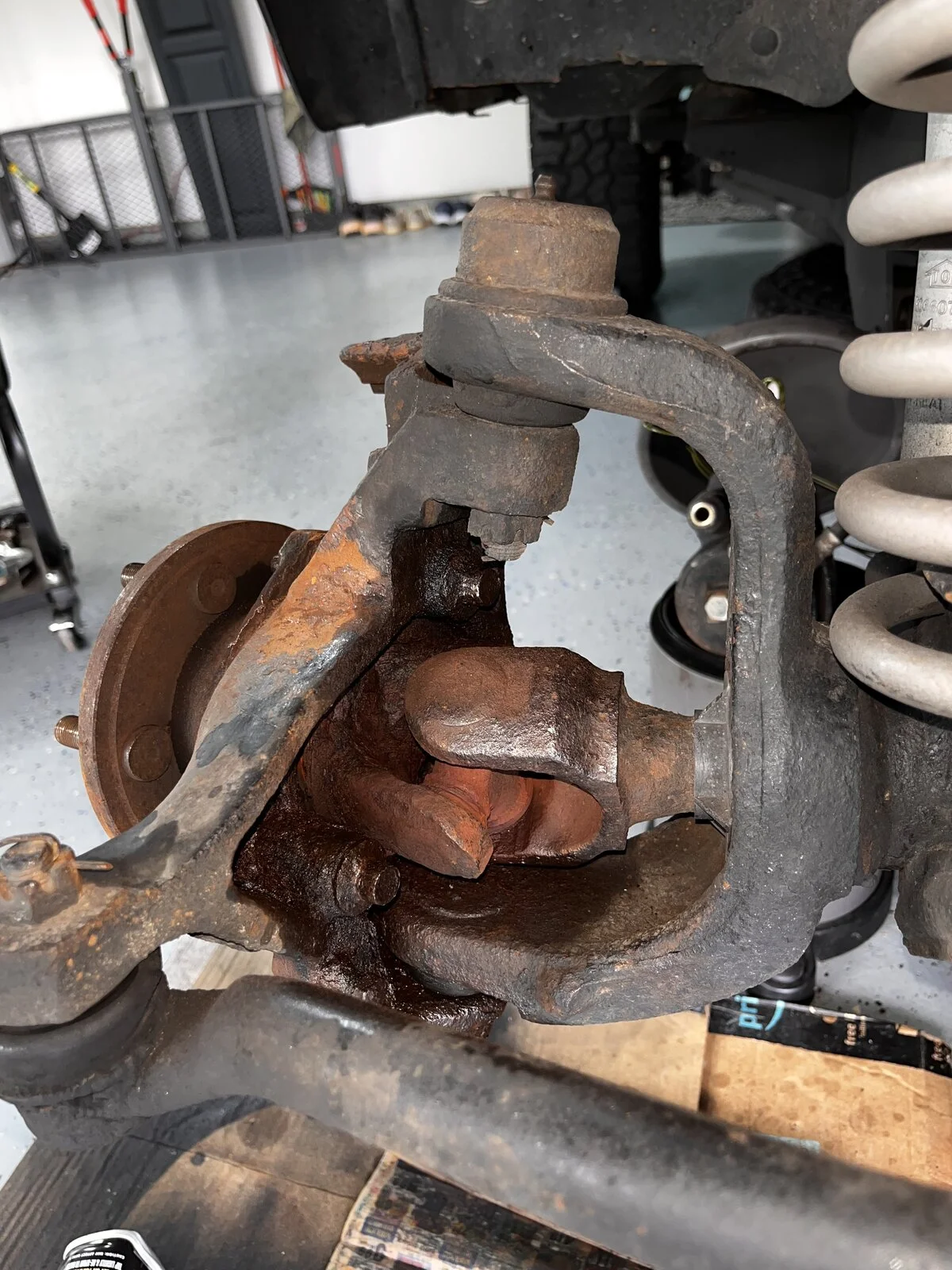 IMG_8469.jpeg