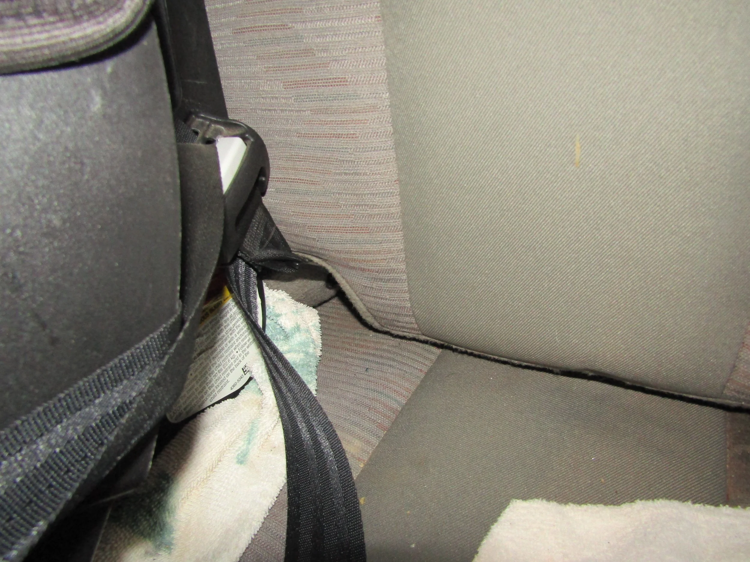 IMG_8820.webp