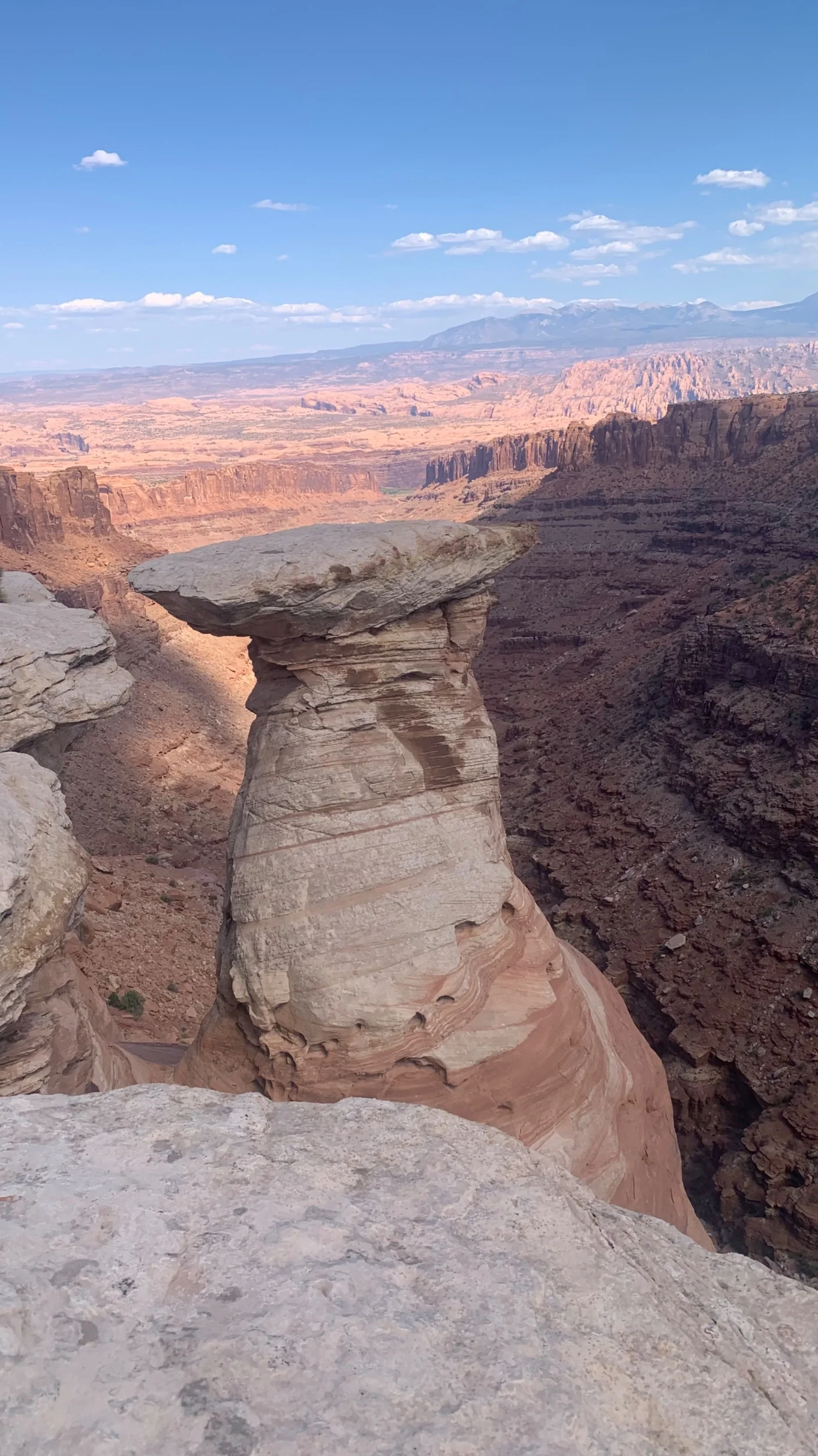 IMG_8857.webp