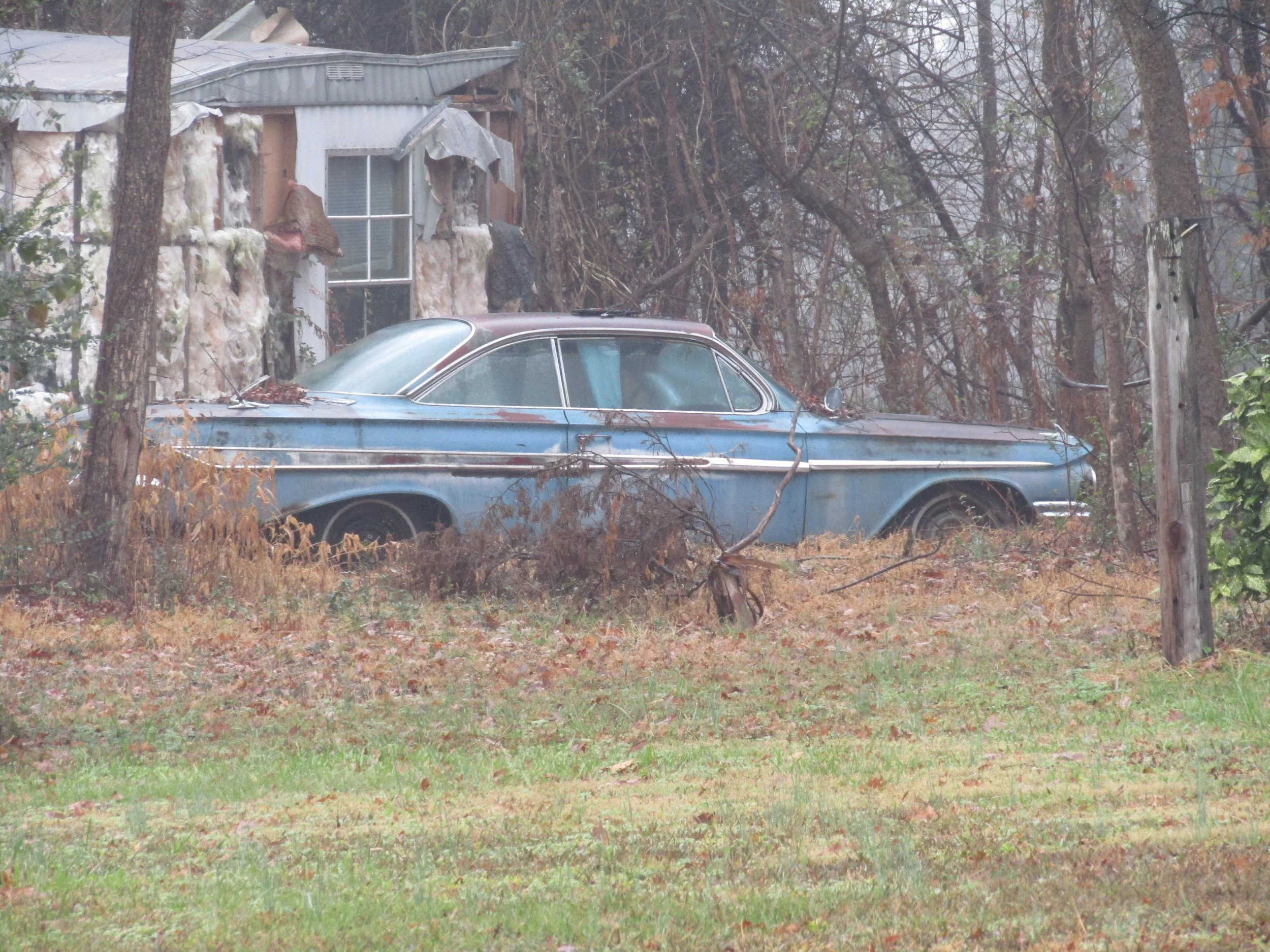 IMG_9095.webp