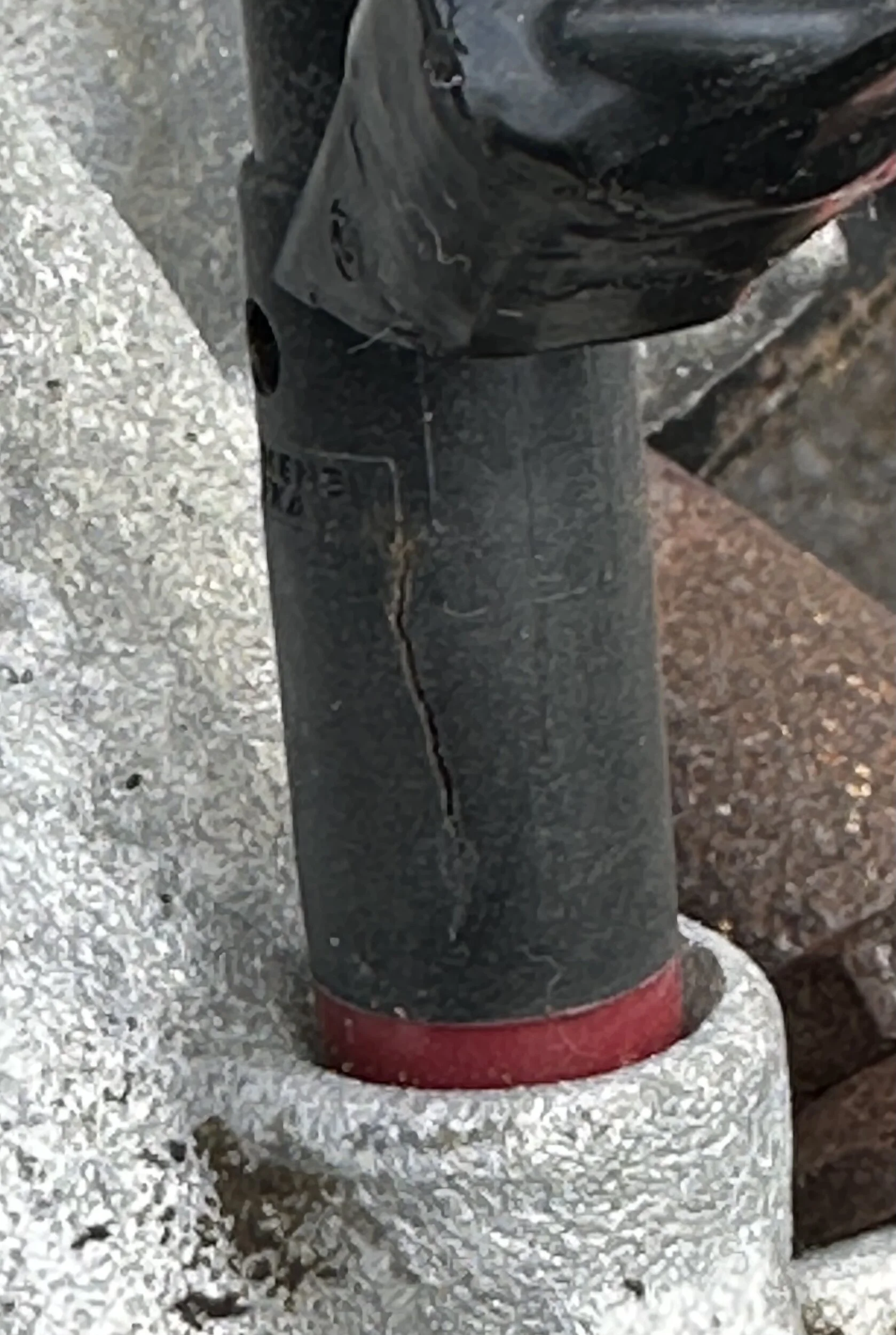 IMG_9802.jpeg