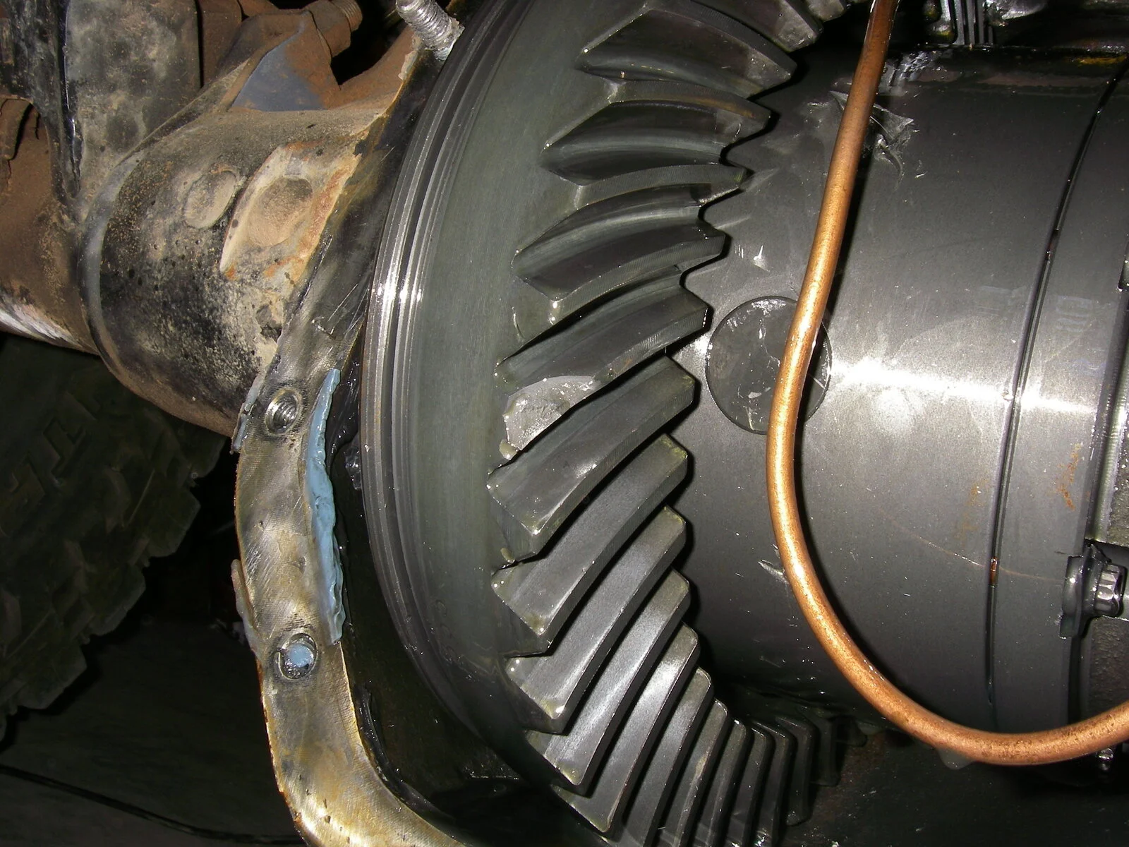IMGP0794.JPG
