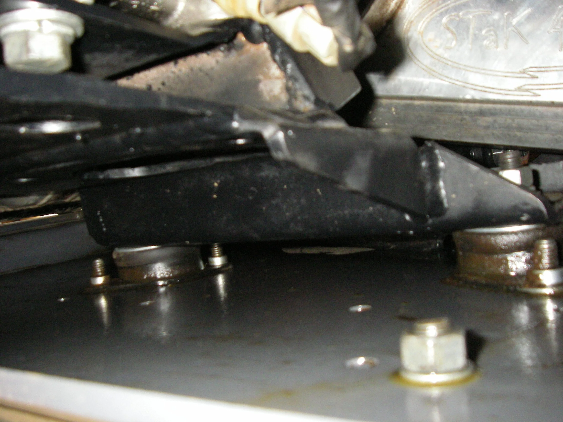 IMGP0855.webp