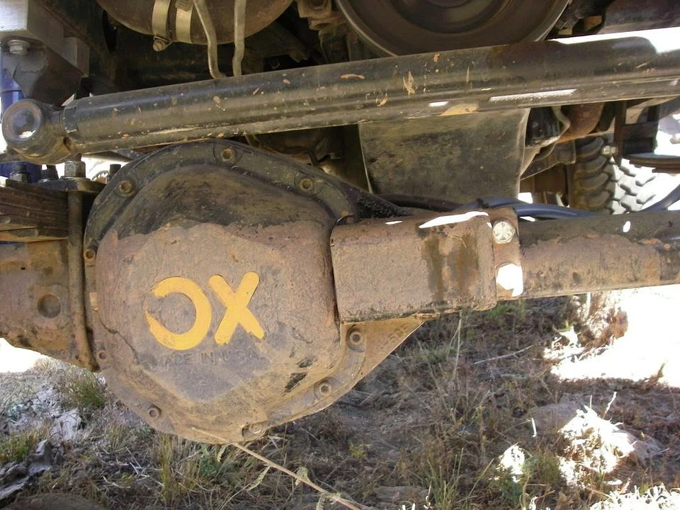IMGP1169.webp