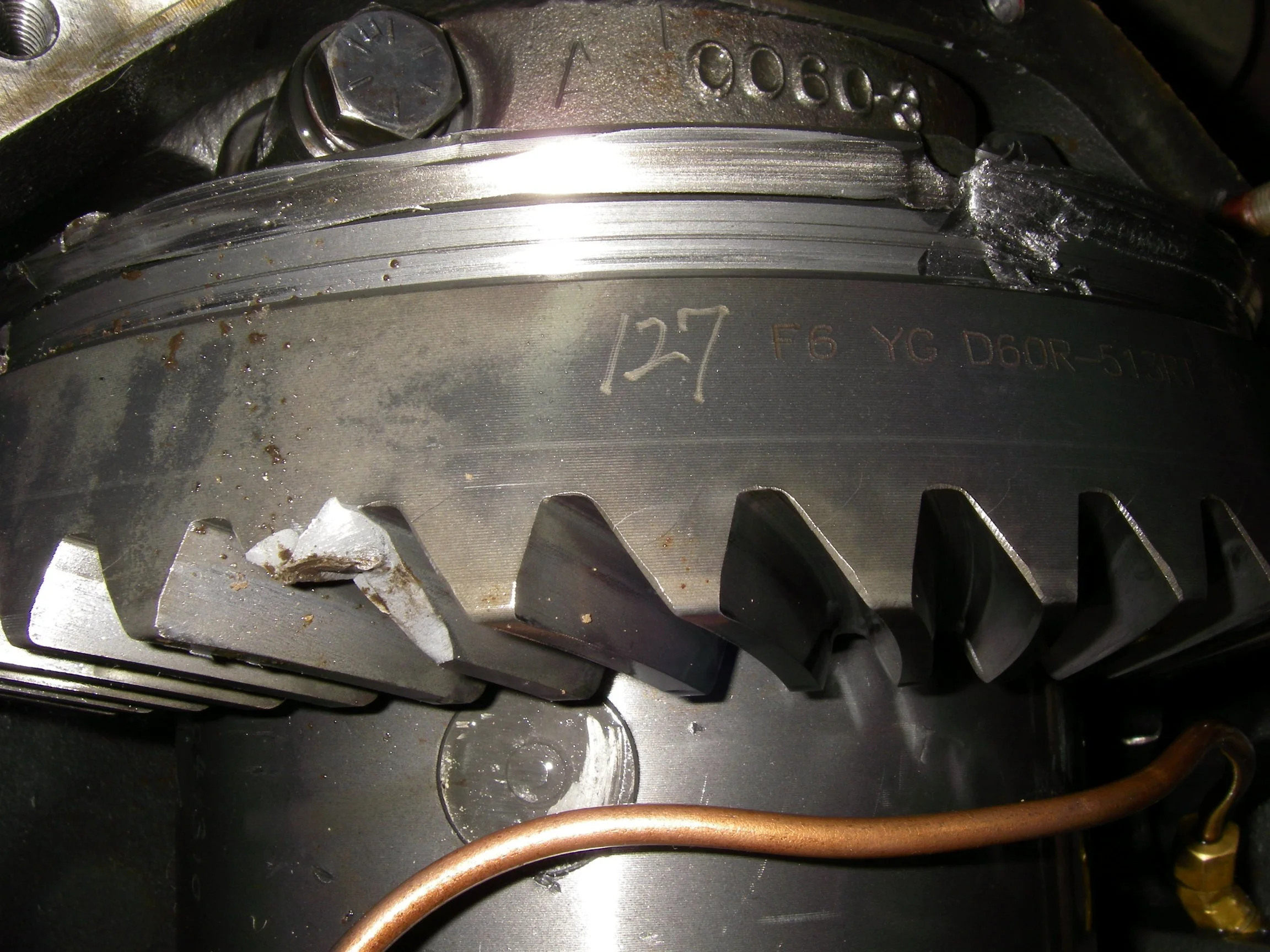 IMGP1202.webp
