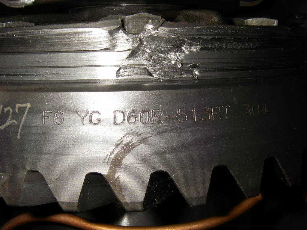 IMGP1203.webp