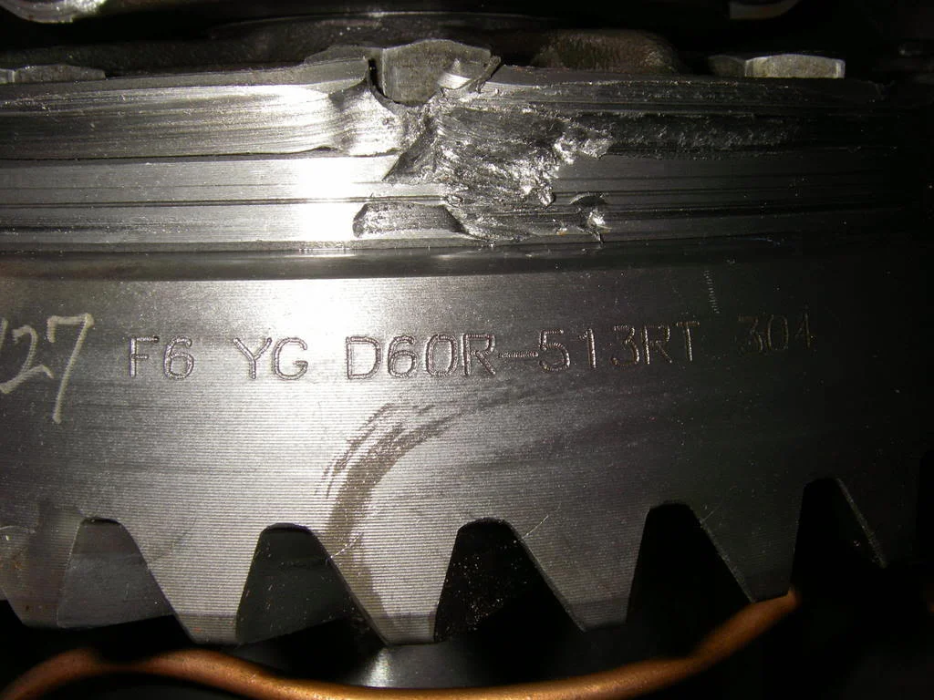 IMGP1203.webp