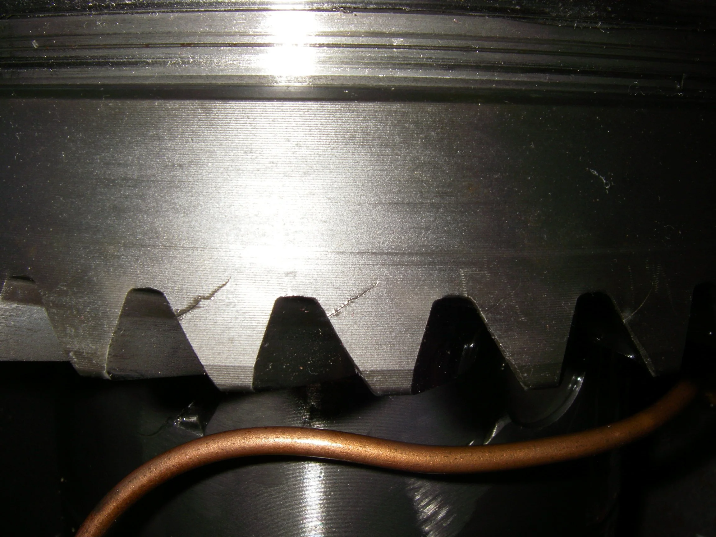 IMGP1204.webp