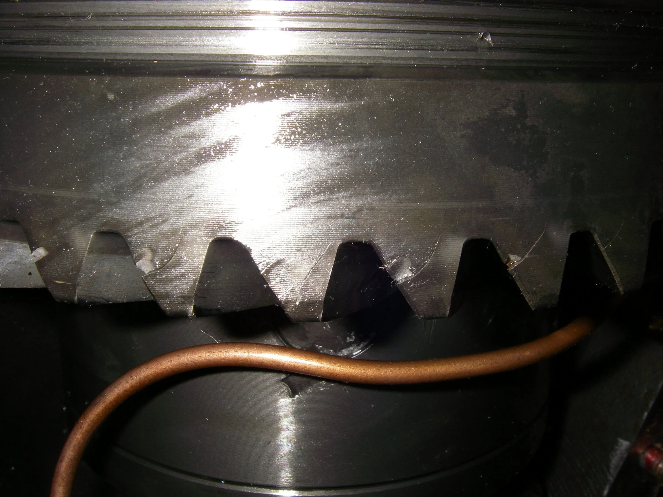IMGP1205.webp