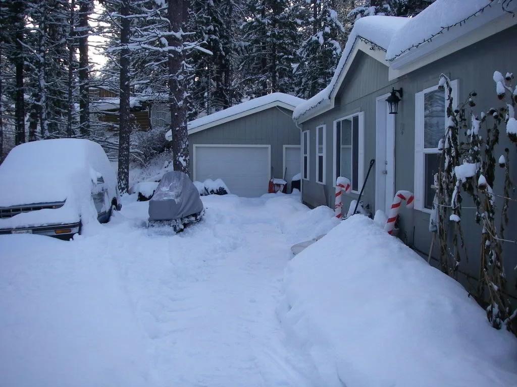 IMGP1502.webp