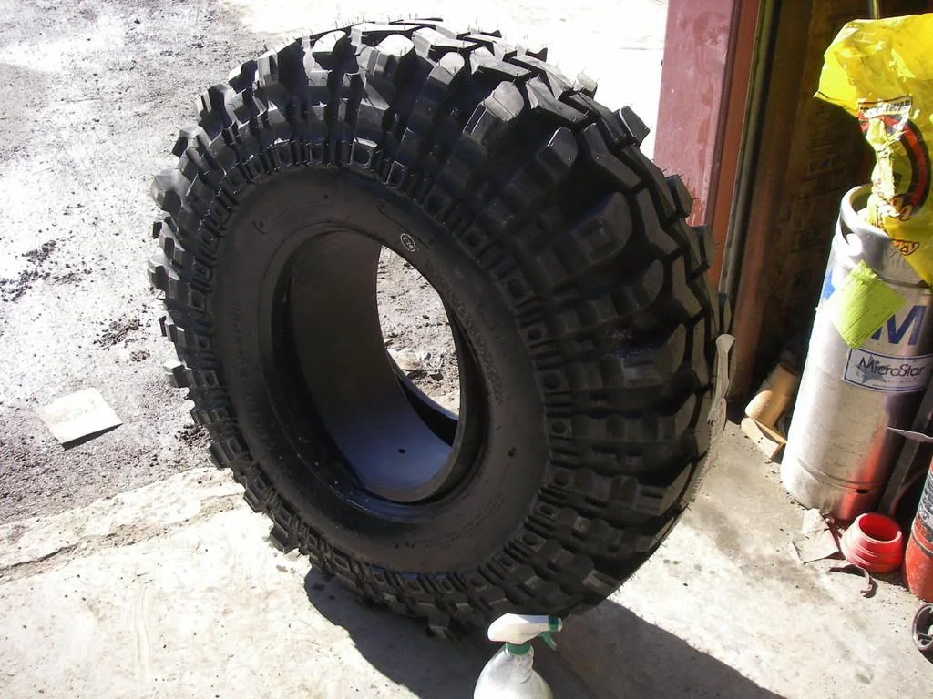 IMGP1701.webp