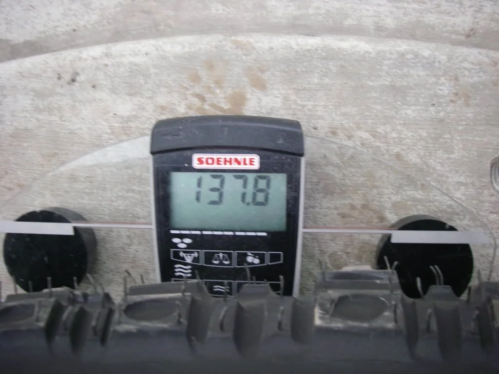 IMGP1720.webp