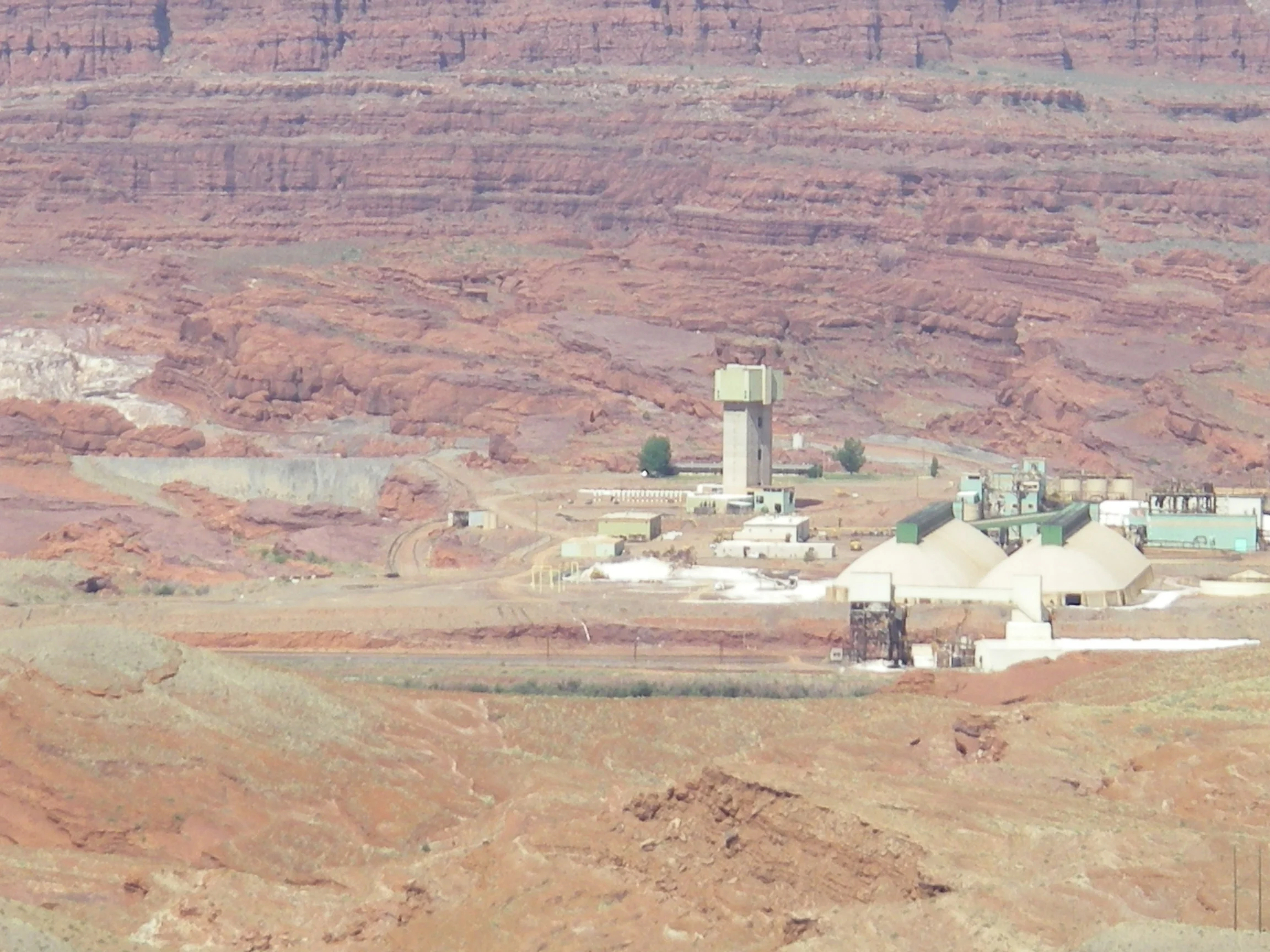 IMGP2211.webp