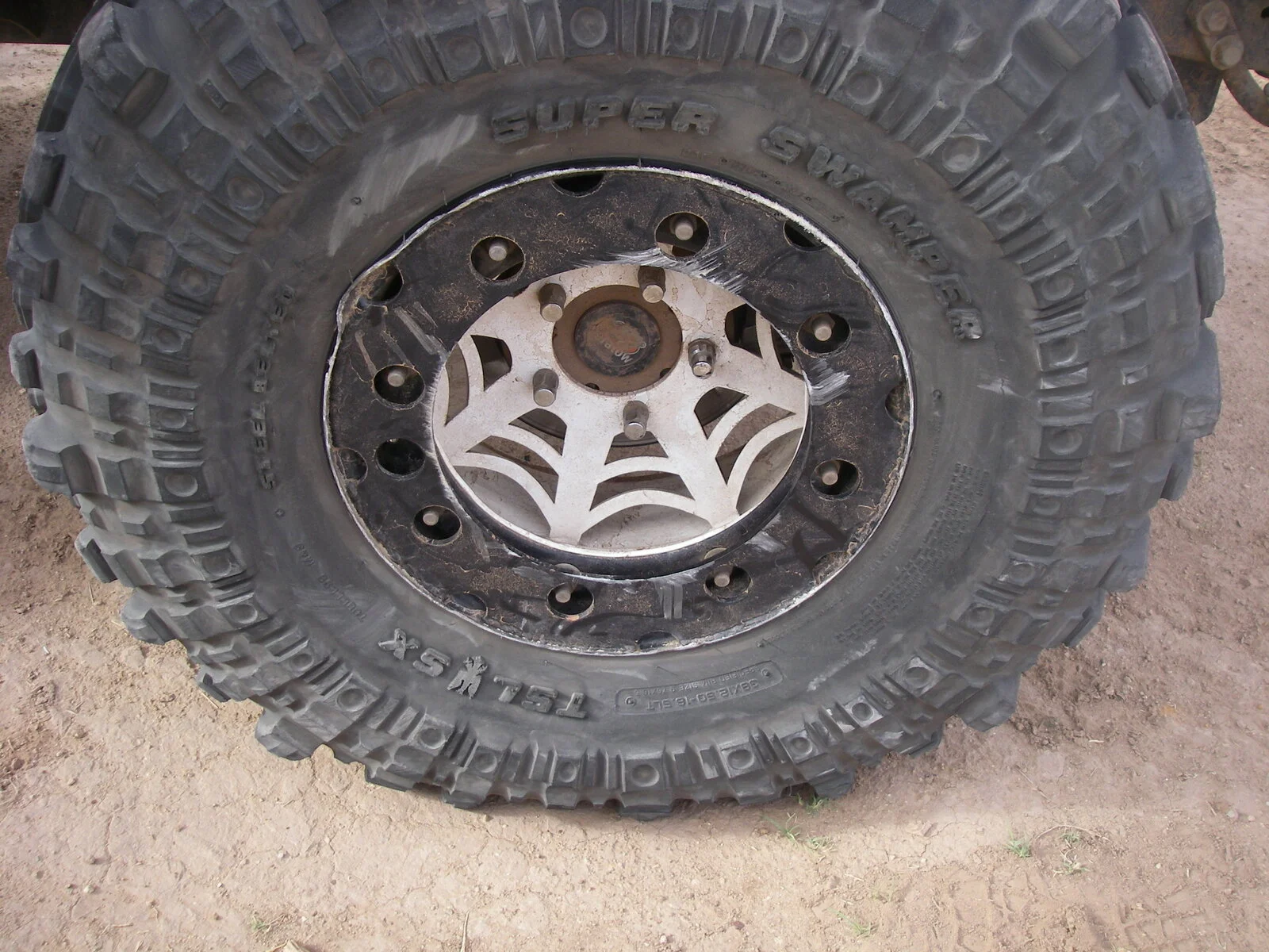 IMGP2276.webp