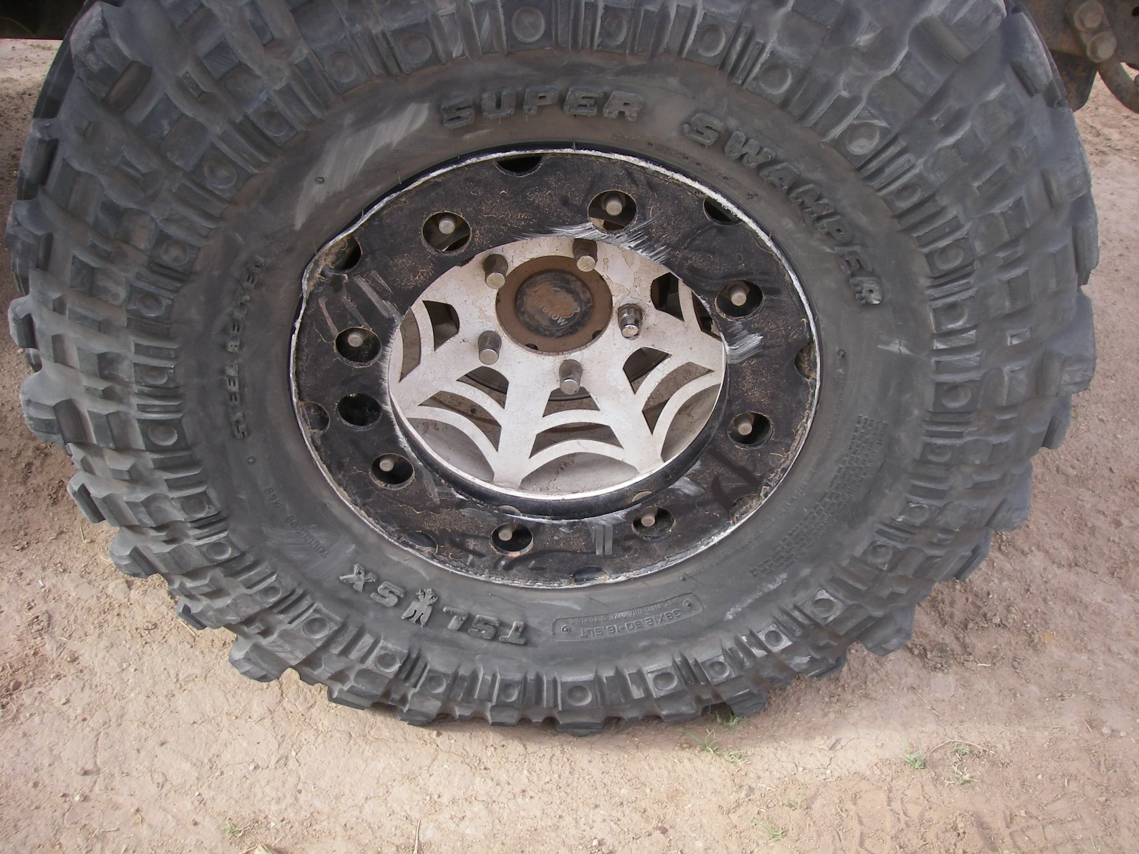 IMGP2276.webp
