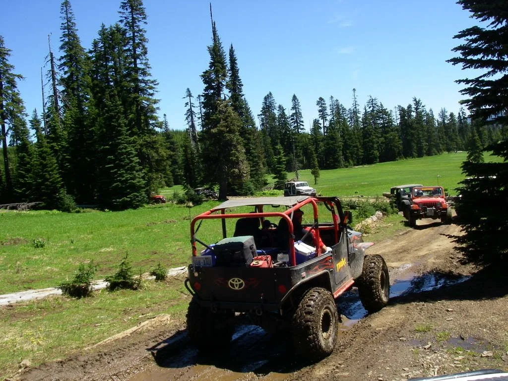 IMGP2532.webp