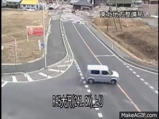 InsecureFondCoyote-size_restricted.gif