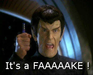 ItsaFake.webp