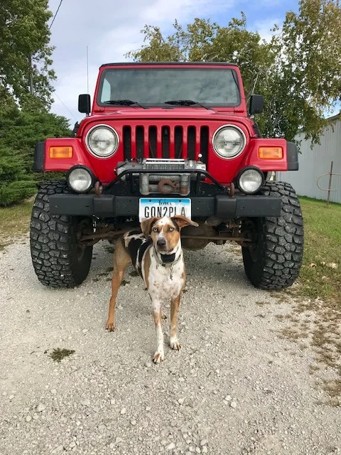 Izzy n Jeep.webp