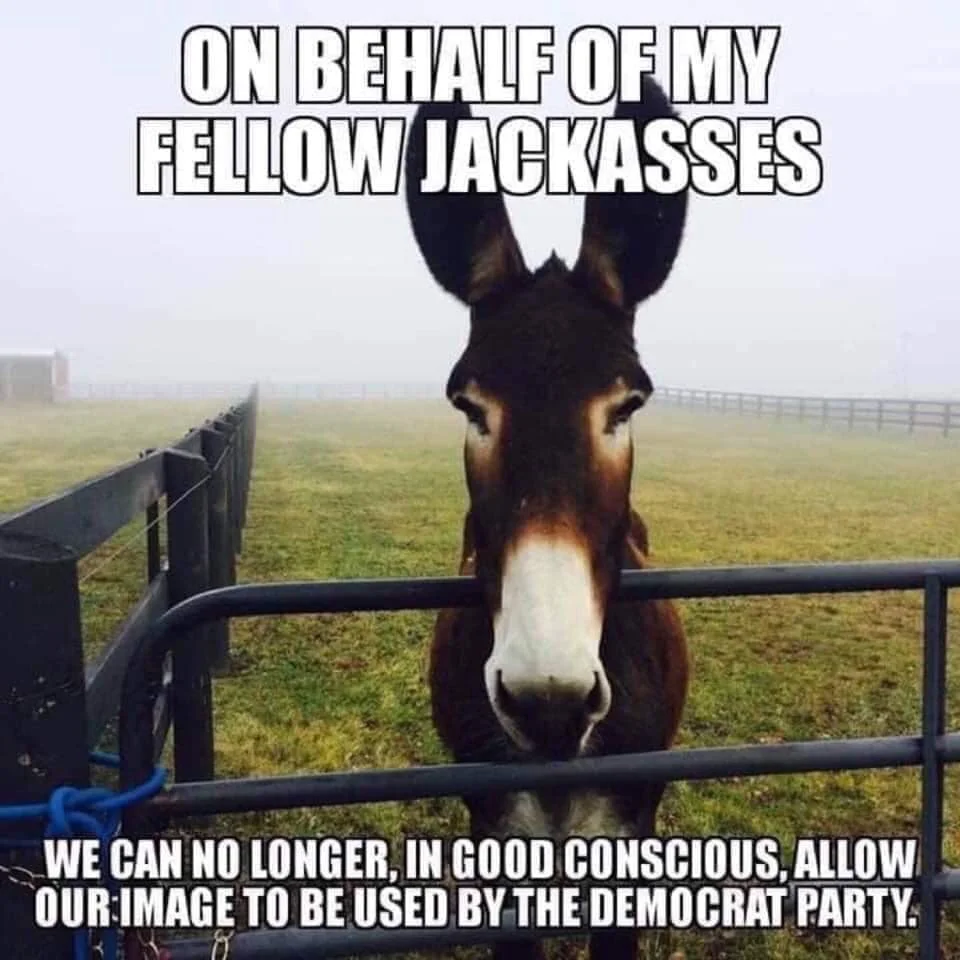 jackass.webp
