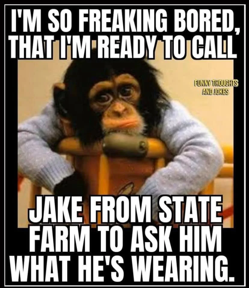 jake.webp