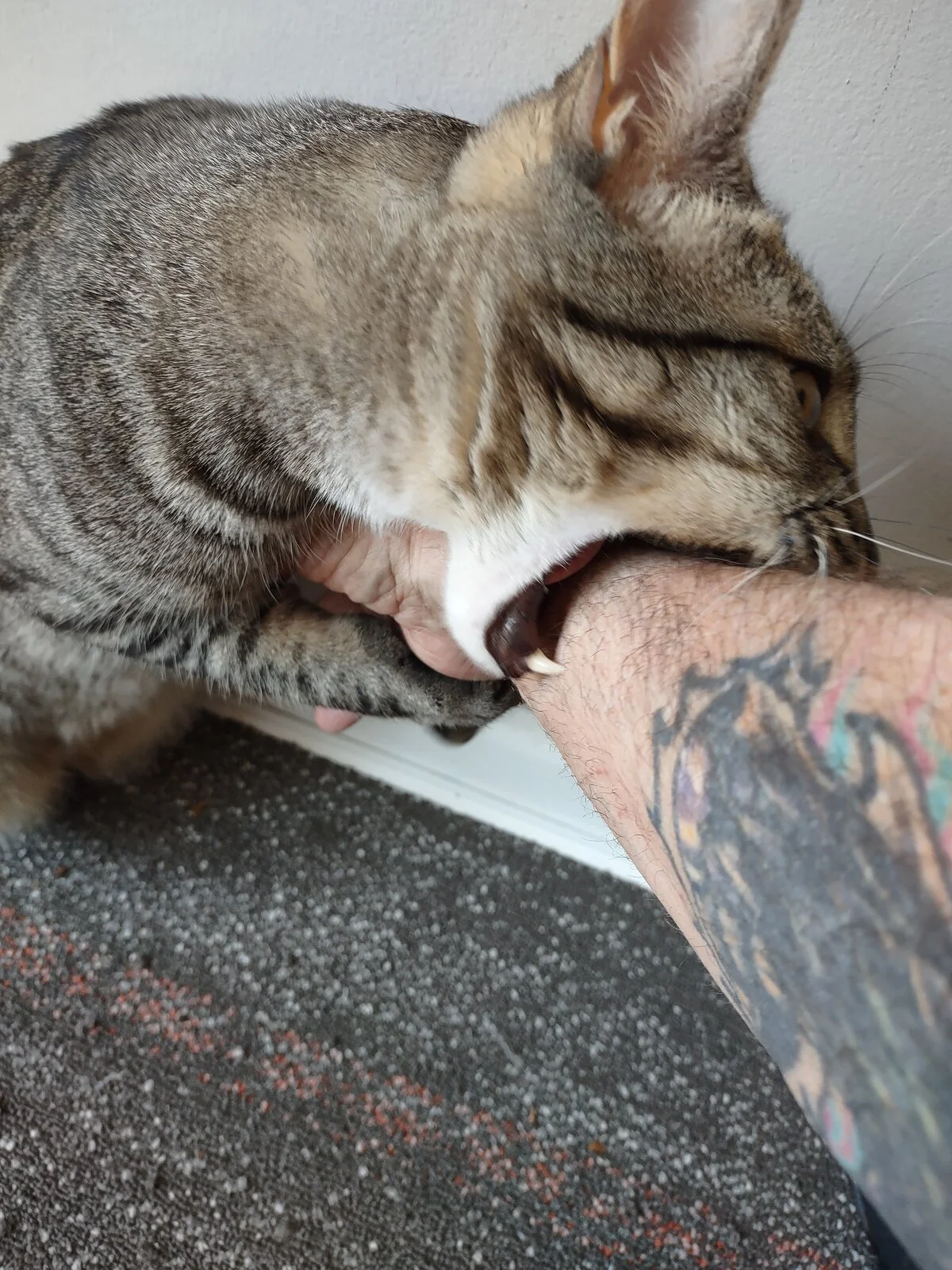Jasper bite big.jpg
