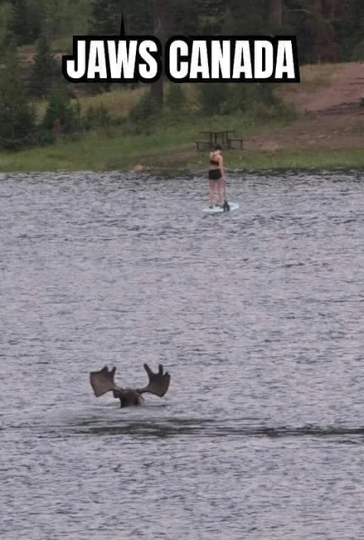 Jaws Canada.webp