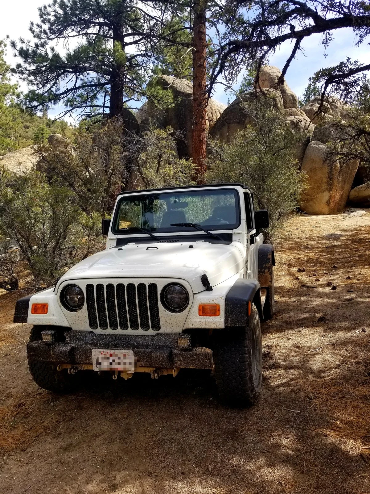 jeep 6.webp