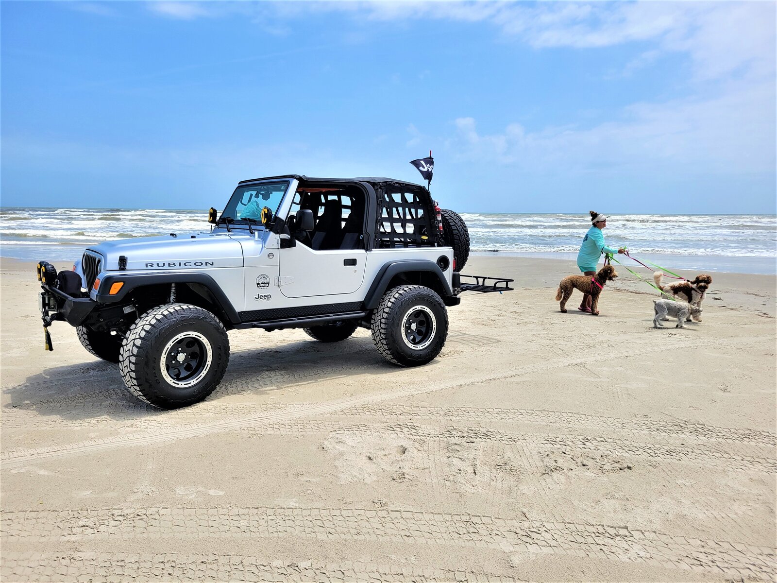 Jeep-beach-dogs.jpg