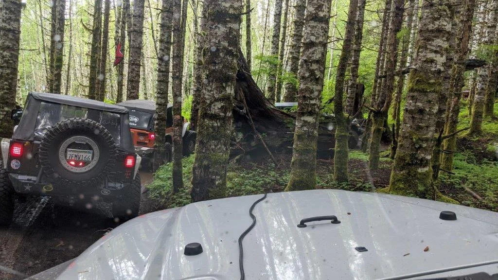 Jeep hiding.webp