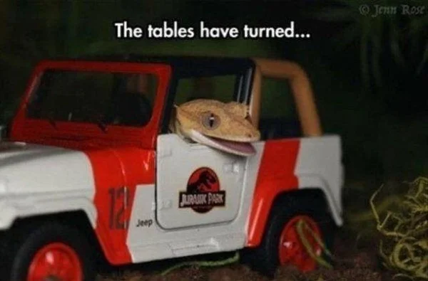 jeep jurassic.webp