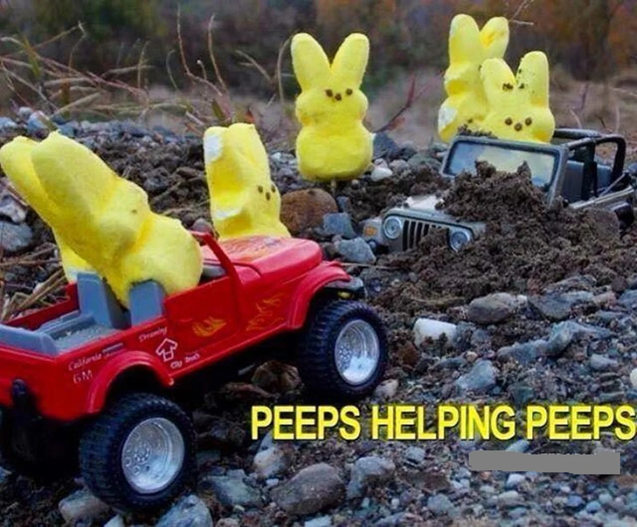 Jeep peeps.jpg