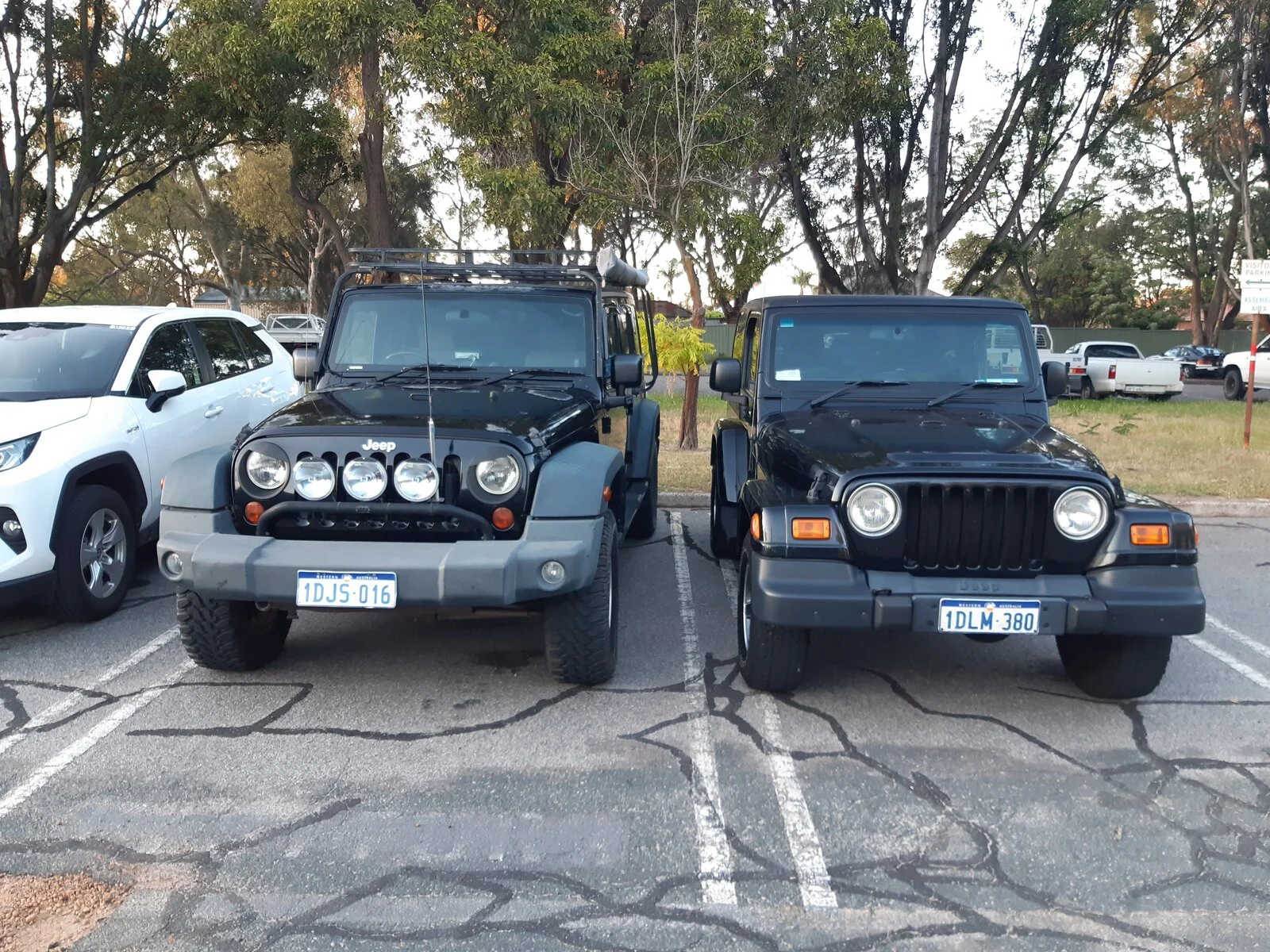 jeeps02.jpg