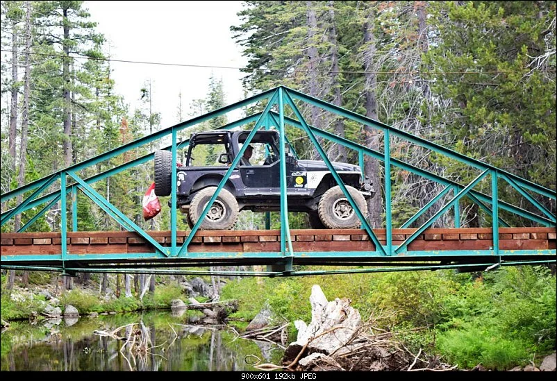 Jerry on Bridge.webp