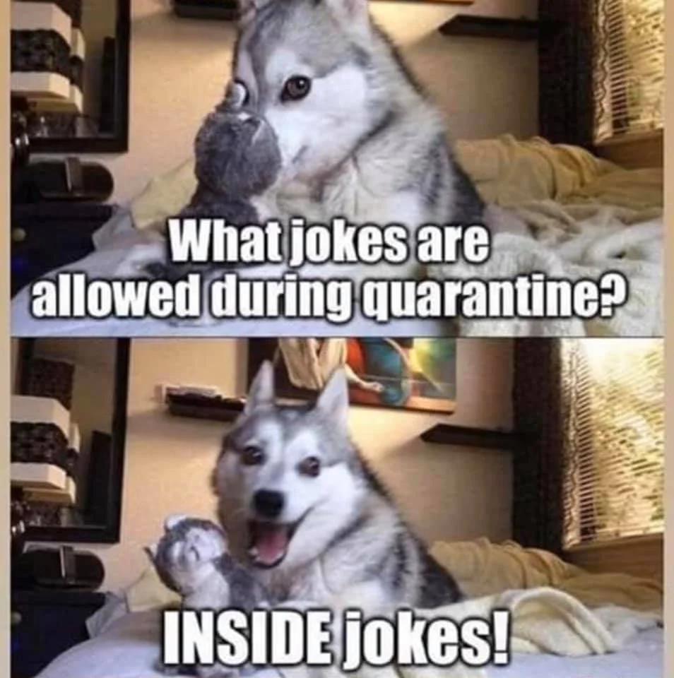 jokes.webp
