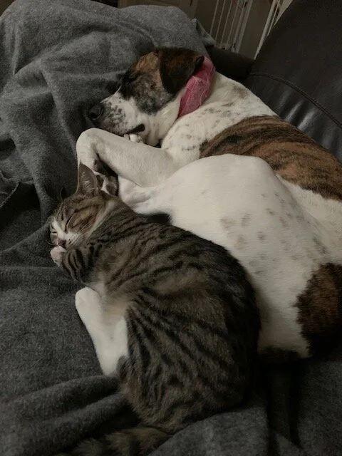 Josey and Hazel.jpg
