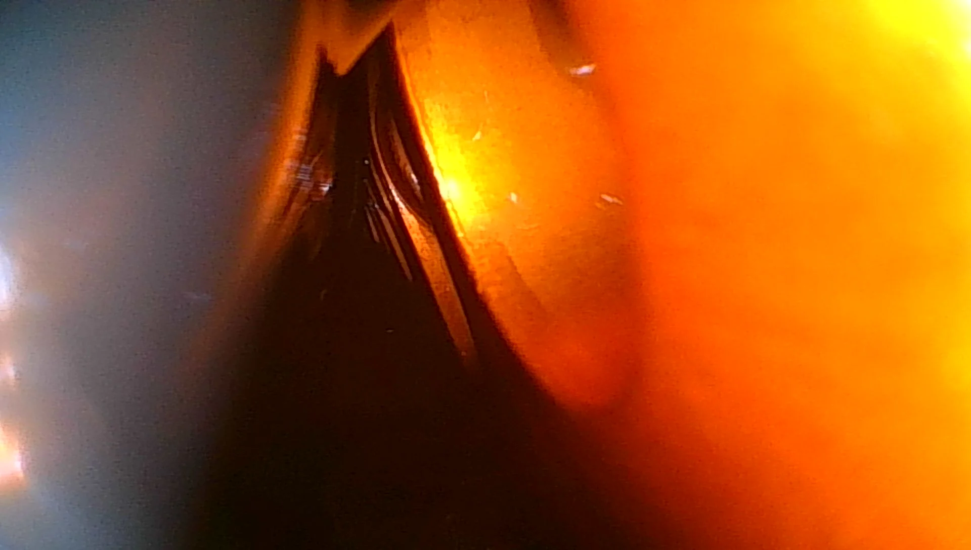 JPEG0057.webp