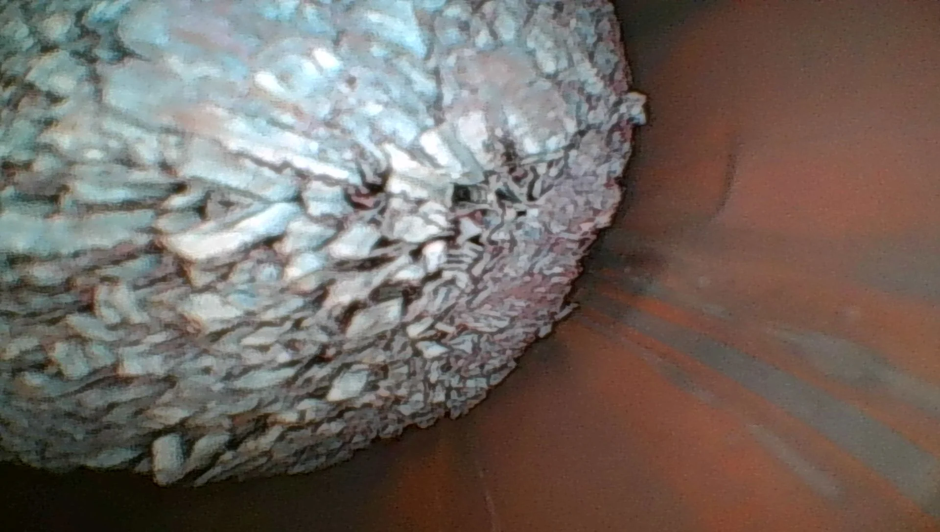 JPEG0074.webp