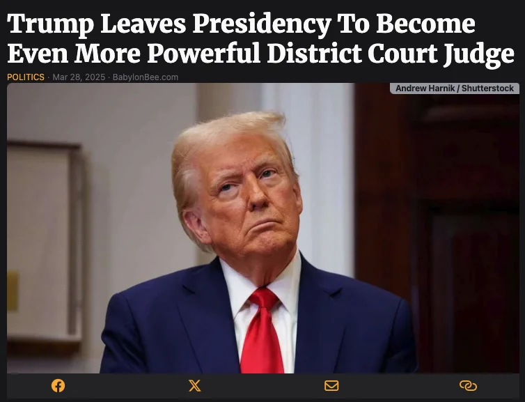 Judge.webp