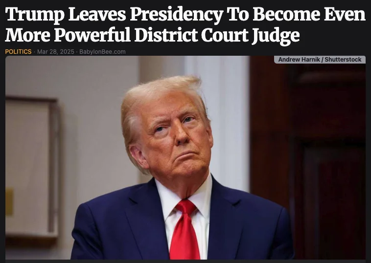 Judge.webp
