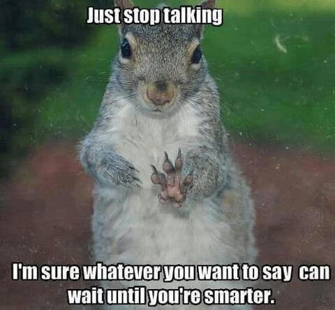 just_stop_squirrel.webp