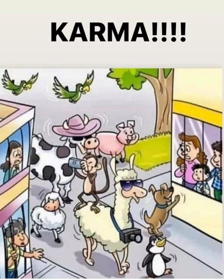 karma.webp