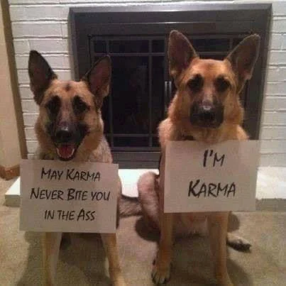 karma.webp