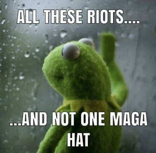 kermit-all-these-riots-not-one-maga-hat.jpg