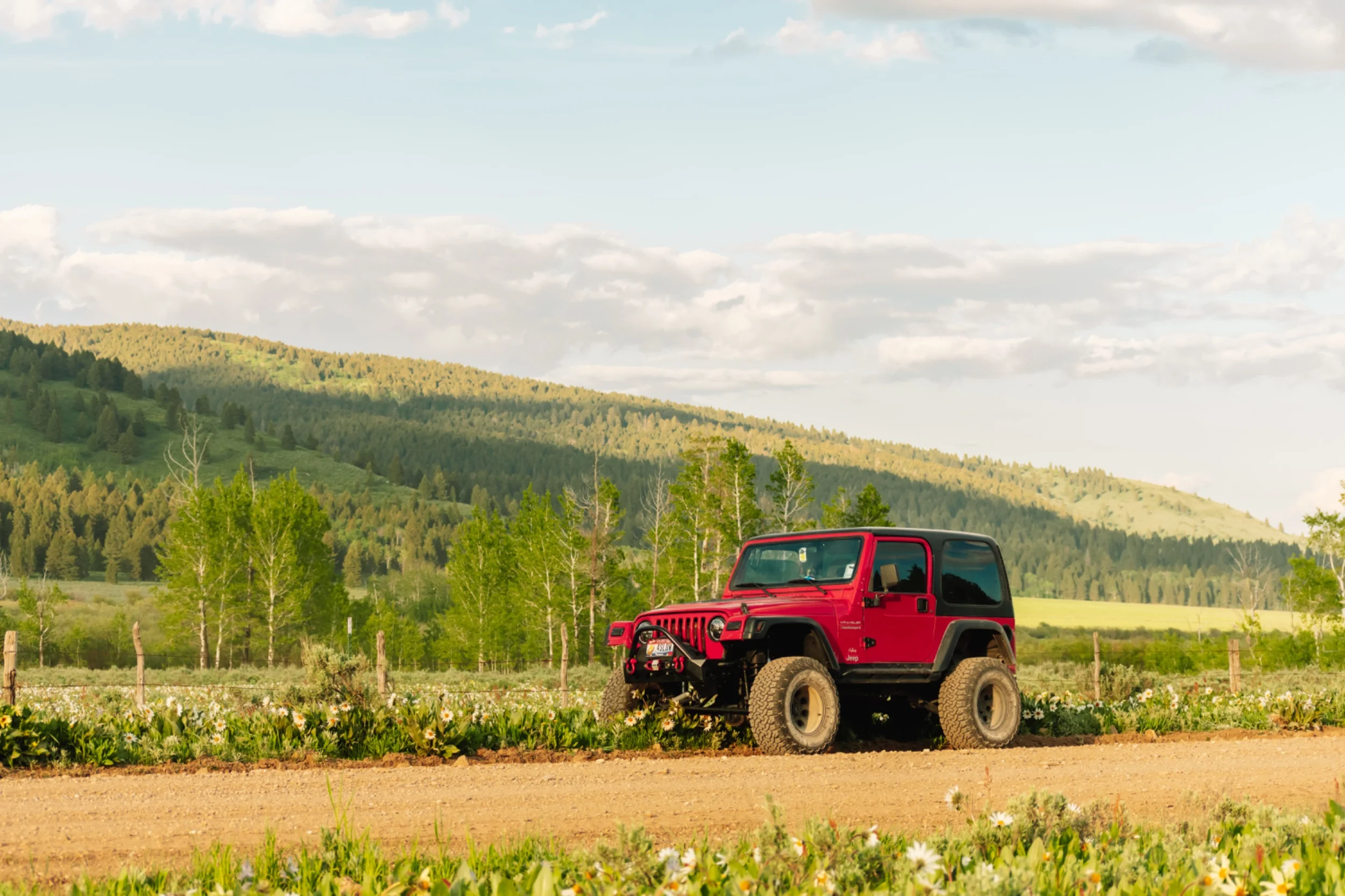 Killgore_&_offroading-05.webp