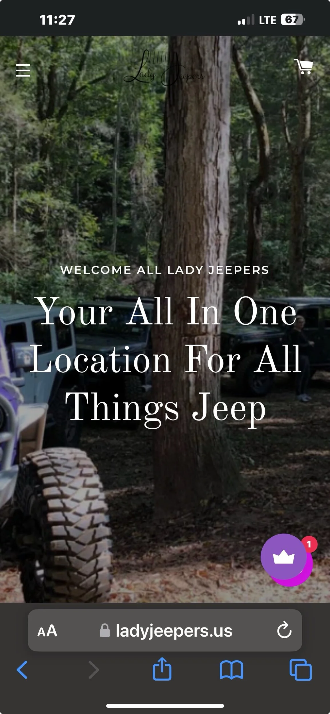 LadyJeepe.webp