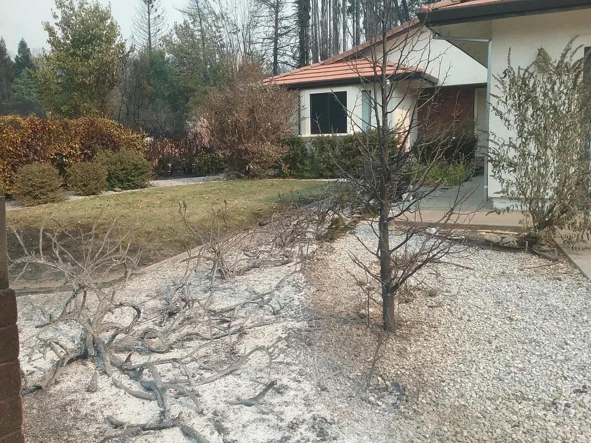 Landscaping Burned.webp