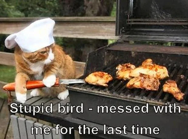last.webp
