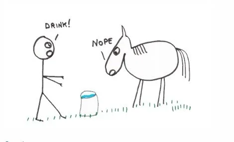 lead a horse to water.webp